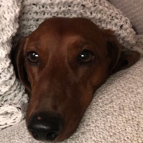 Meet your Posher, Philip - Picture 1 of 1